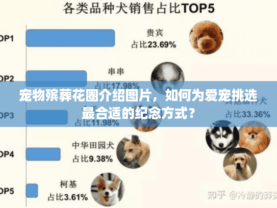 宠物殡葬花圈介绍图片，如何为爱宠挑选最合适的纪念方式？