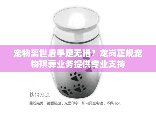 宠物离世后手足无措？龙岗正规宠物殡葬业务提供专业支持