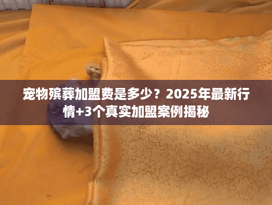 宠物殡葬加盟费是多少？2025年最新行情+3个真实加盟案例揭秘