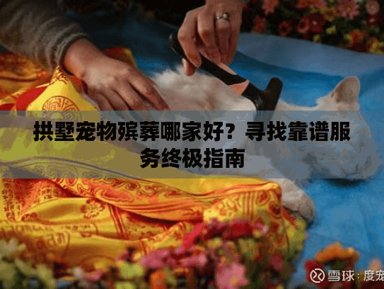 拱墅宠物殡葬哪家好？寻找靠谱服务终极指南