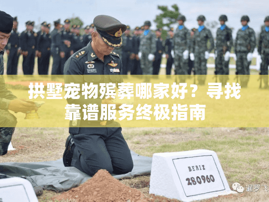拱墅宠物殡葬哪家好？寻找靠谱服务终极指南
