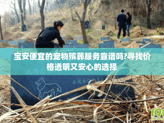 宝安便宜的宠物殡葬服务靠谱吗?寻找价格透明又安心的选择
