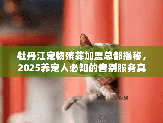 牡丹江宠物殡葬加盟总部揭秘，2025养宠人必知的告别服务真相？