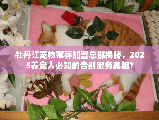 牡丹江宠物殡葬加盟总部揭秘，2025养宠人必知的告别服务真相？