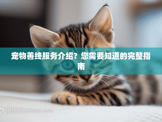 宠物善终服务介绍？您需要知道的完整指南