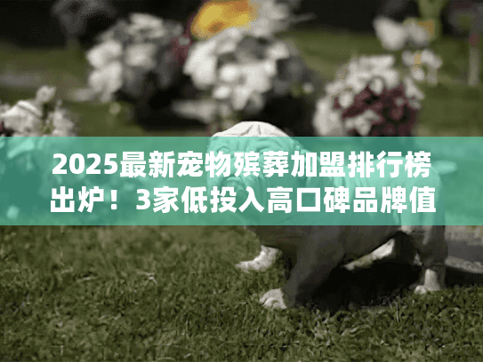 2025最新宠物殡葬加盟排行榜出炉!3家低投入高口碑品牌值得你选? 2025最新宠物殡葬加盟排行榜出炉!3家低投入高口碑品牌值得你选?
