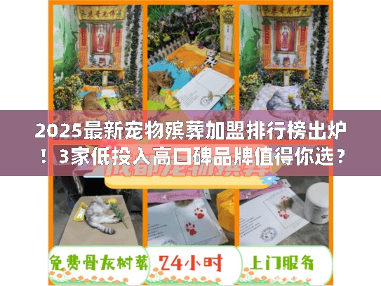 2025最新宠物殡葬加盟排行榜出炉!3家低投入高口碑品牌值得你选? 2025最新宠物殡葬加盟排行榜出炉!3家低投入高口碑品牌值得你选?