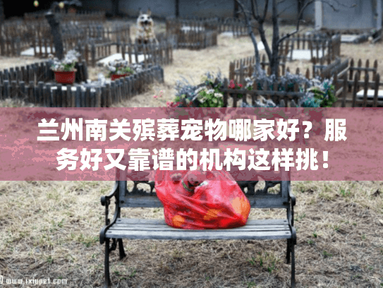 兰州南关殡葬宠物哪家好？服务好又靠谱的机构这样挑！