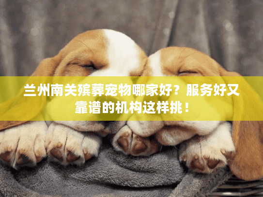 兰州南关殡葬宠物哪家好？服务好又靠谱的机构这样挑！