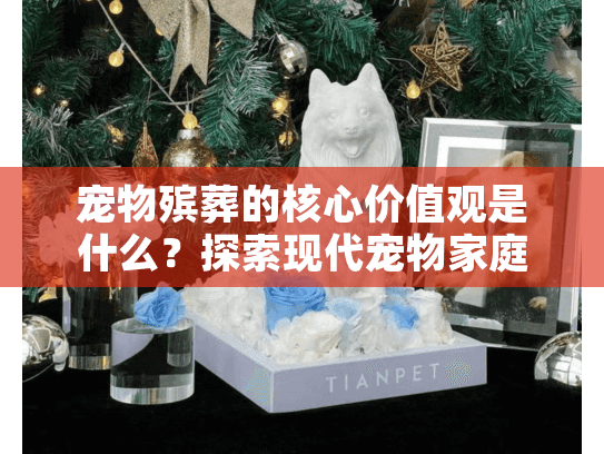 宠物殡葬的核心价值观是什么？探索现代宠物家庭的尊严告别选择
