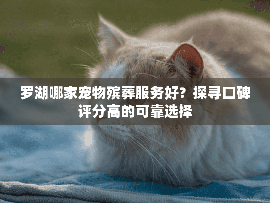罗湖哪家宠物殡葬服务好？探寻口碑评分高的可靠选择