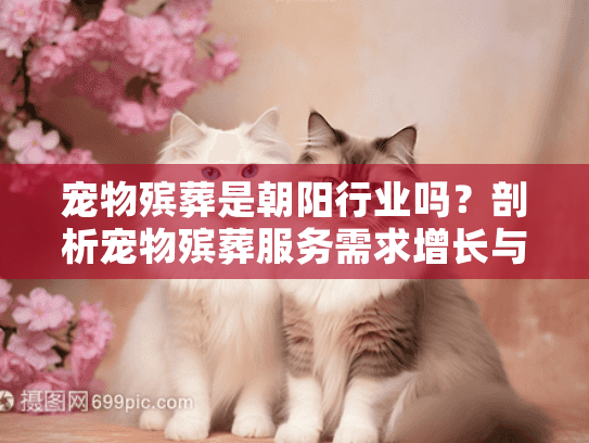 宠物殡葬是朝阳行业吗？剖析宠物殡葬服务需求增长与投资潜力