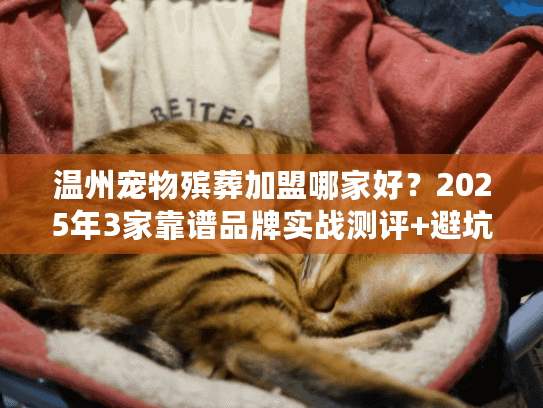 温州宠物殡葬加盟哪家好？2025年3家靠谱品牌实战测评+避坑干货