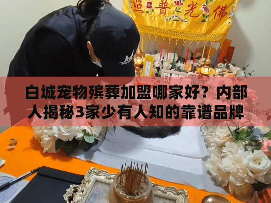白城宠物殡葬加盟哪家好？内部人揭秘3家少有人知的靠谱品牌