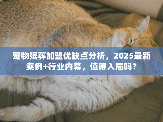 宠物殡葬加盟优缺点分析,2025最新案例+行业内幕,值得入局吗? 宠物殡葬加盟优缺点分析,2025最新案例+行业内幕,值得入局吗?