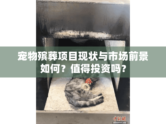 宠物殡葬项目现状与市场前景如何？值得投资吗？