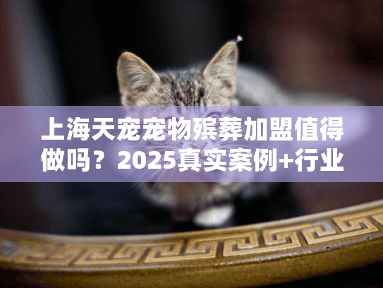 上海天宠宠物殡葬加盟值得做吗？2025真实案例+行业隐藏盈利点揭秘