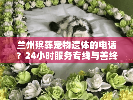兰州殡葬宠物遗体的电话？24小时服务专线与善终指南