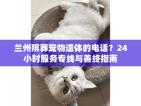 兰州殡葬宠物遗体的电话？24小时服务专线与善终指南
