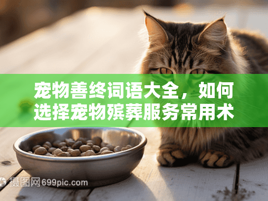 宠物善终词语大全，如何选择宠物殡葬服务常用术语解读？