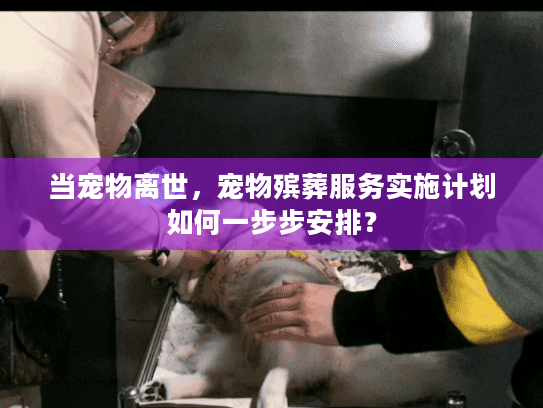 当宠物离世，宠物殡葬服务实施计划如何一步步安排？