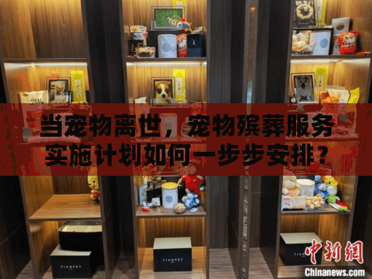 当宠物离世，宠物殡葬服务实施计划如何一步步安排？