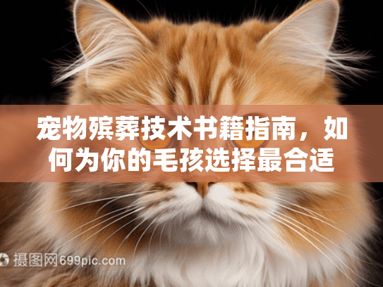 宠物殡葬技术书籍指南，如何为你的毛孩选择最合适的告别方式