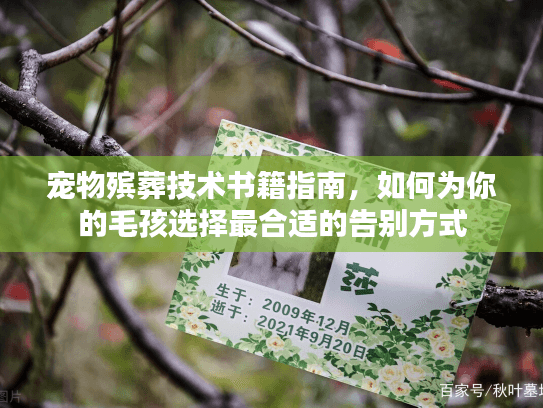 宠物殡葬技术书籍指南，如何为你的毛孩选择最合适的告别方式