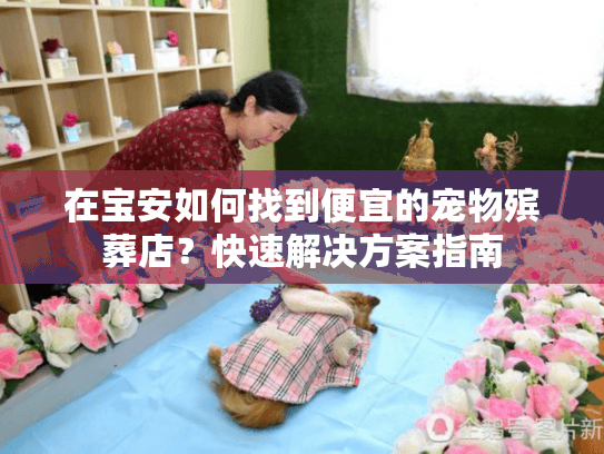 在宝安如何找到便宜的宠物殡葬店？快速解决方案指南