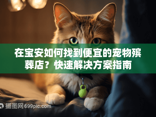在宝安如何找到便宜的宠物殡葬店？快速解决方案指南