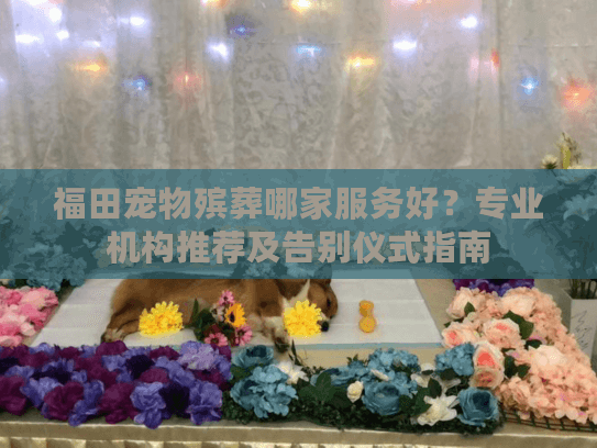 福田宠物殡葬哪家服务好？专业机构推荐及告别仪式指南