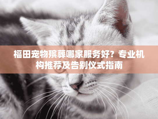 福田宠物殡葬哪家服务好？专业机构推荐及告别仪式指南