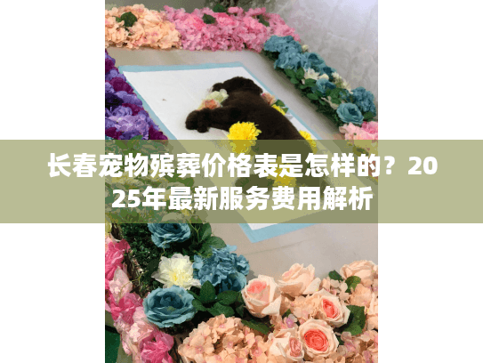 长春宠物殡葬价格表是怎样的？2025年最新服务费用解析