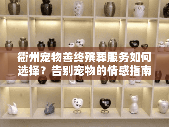 衢州宠物善终殡葬服务如何选择？告别宠物的情感指南