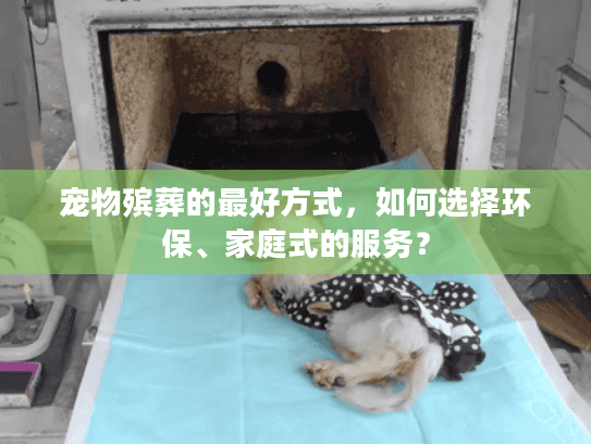 宠物殡葬的最好方式，如何选择环保、家庭式的服务？