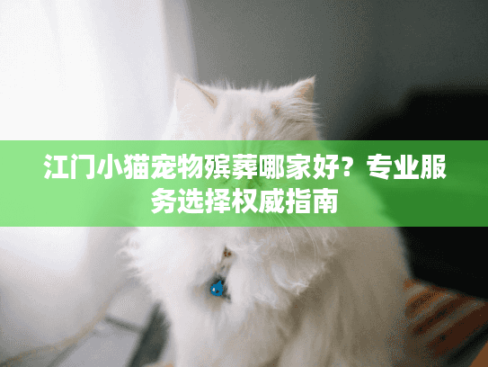 江门小猫宠物殡葬哪家好？专业服务选择权威指南