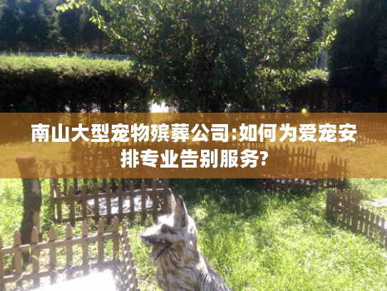 南山大型宠物殡葬公司:如何为爱宠安排专业告别服务?