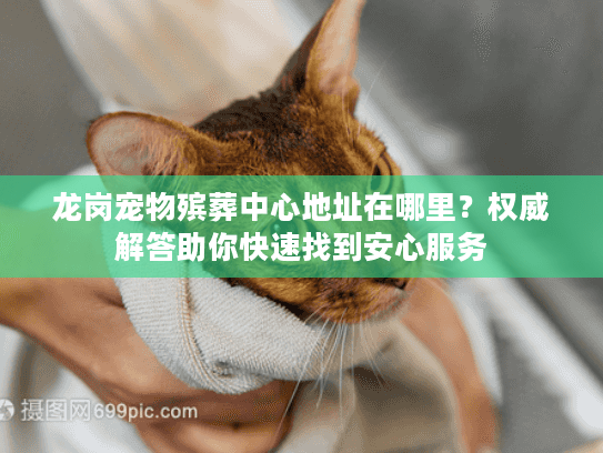 龙岗宠物殡葬中心地址在哪里？权威解答助你快速找到安心服务