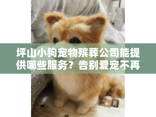 坪山小狗宠物殡葬公司能提供哪些服务？告别爱宠不再迷茫