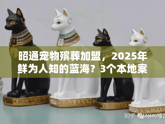 昭通宠物殡葬加盟，2025年鲜为人知的蓝海？3个本地案例揭秘盈利逻辑