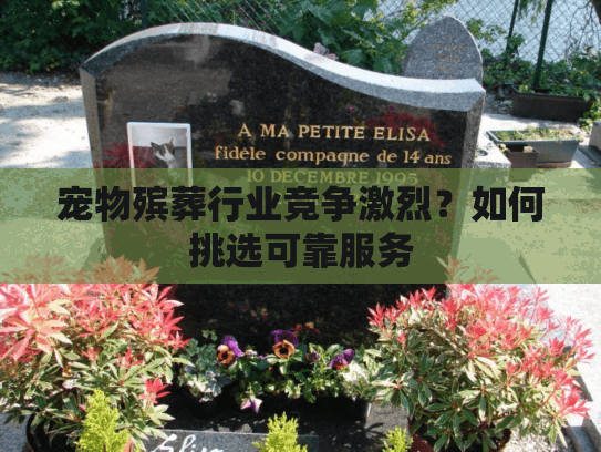 宠物殡葬行业竞争激烈？如何挑选可靠服务