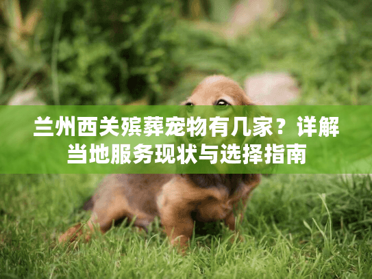 兰州西关殡葬宠物有几家？详解当地服务现状与选择指南