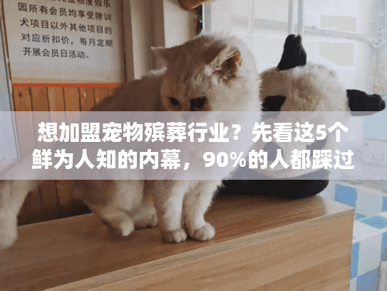 想加盟宠物殡葬行业？先看这5个鲜为人知的内幕，90%的人都踩过坑！