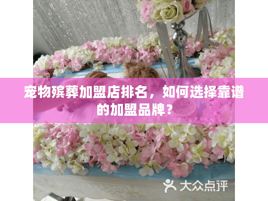 宠物殡葬加盟店排名，如何选择靠谱的加盟品牌？