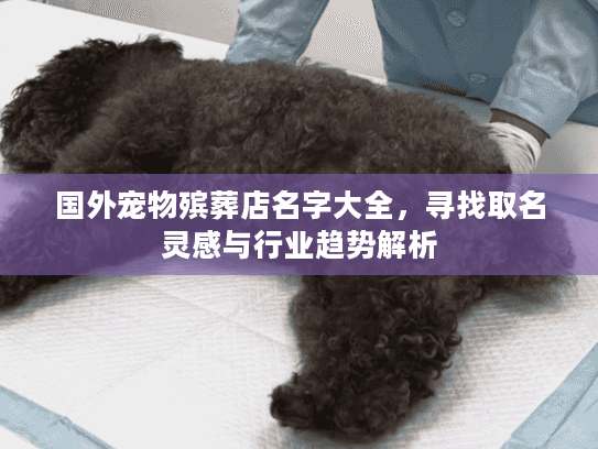 国外宠物殡葬店名字大全，寻找取名灵感与行业趋势解析