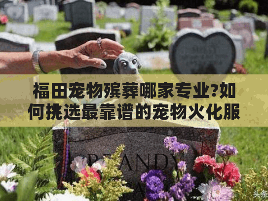 福田宠物殡葬哪家专业?如何挑选最靠谱的宠物火化服务