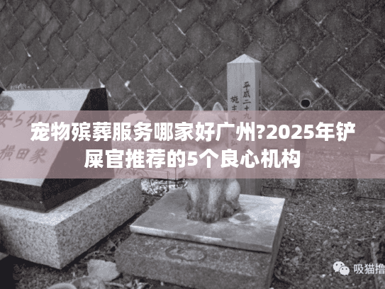 宠物殡葬服务哪家好广州?2025年铲屎官推荐的5个良心机构