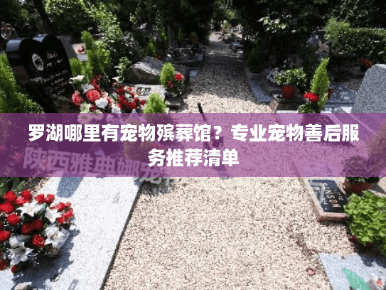 罗湖哪里有宠物殡葬馆？专业宠物善后服务推荐清单