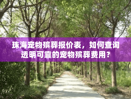 珠海宠物殡葬报价表，如何查询透明可靠的宠物殡葬费用？