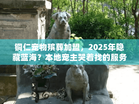 铜仁宠物殡葬加盟，2025年隐藏蓝海？本地宠主哭着找的服务，你能做吗？